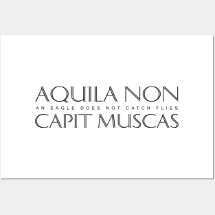 Latin Inspirational Quote: Aquila non capit muscas (An eagle does not catch flies) Posters and Art